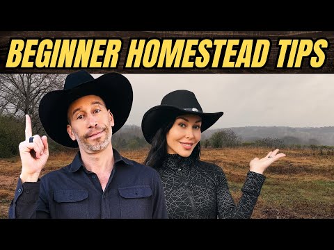 Things You MUST Know Before Starting a Homestead