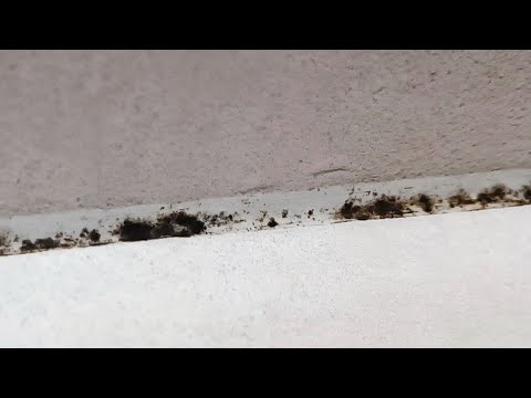 How to replace sealant correctly!