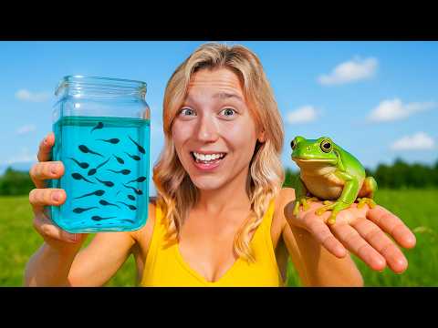 Raising Tadpoles to Frogs (100 Day Evolution)