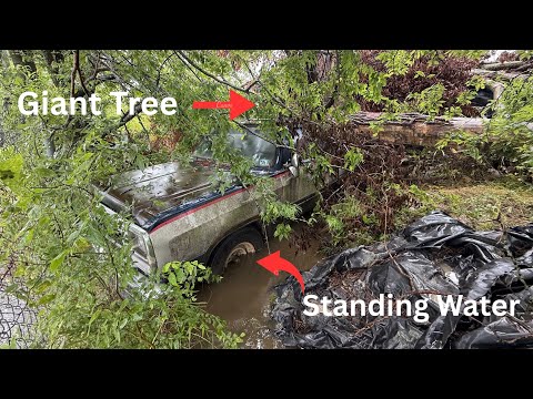 We Found a Buried 1st Gen Cummins in an Abandoned Salvage Yard!