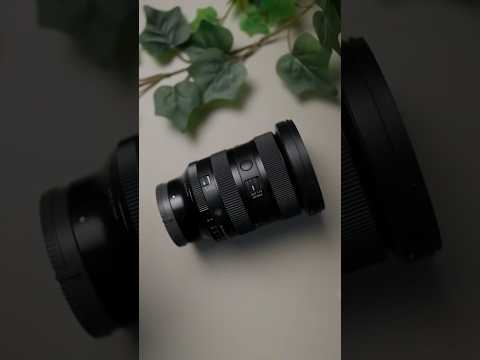 My Go-To Lens for Client Shoots