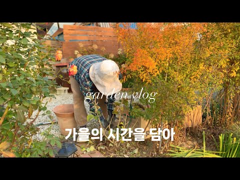 늦가을의 루틴 | 설레이는 봄을 예약했어요🌷 