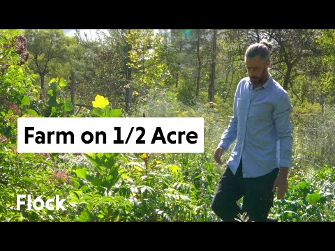 Tour 1/2 ACRE PERMACULTURE FARM with Edible Acres — Ep 013