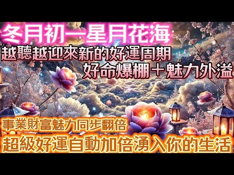 冬月初一｜星月花海｜越聽越迎來新的好運週期｜好命爆棚＋魅力外溢｜事業財富魅力同步翻倍｜超級好運自動加倍湧入你的生活｜吸引力法則調頻能量音樂