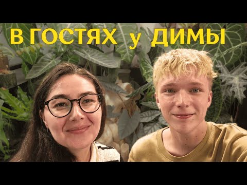 комната-кабинет С РАСТЕНИЯМИ, змеями и НЕОБЫЧНЫМ ОФОРМЛЕНИЕМ зелёной коллекции | в гостях У ДИМЫ 🪴