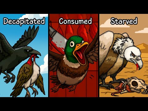 Why it Sucks To Be Born As a Bird