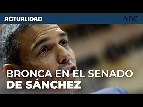 CASO KOLDO | Así ha sido la comparecencia de SANCHEZ en la COMISIÓN DE INVESTIGACIÓN del SENADO