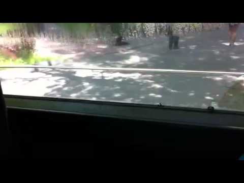 Портативный автобусный аквариум