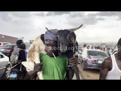 Priced out of tradition: Nigerians struggle to afford rams for Eid celebrations