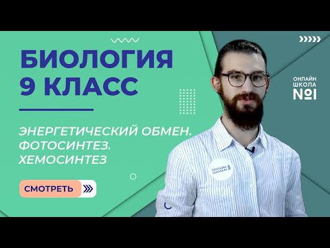 Энергетический обмен. Фотосинтез. Хемосинтез. Видеоурок 12. Биология 9 класс