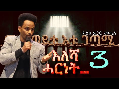 The Poet Behind Bars, Tsegay Mehari’s Story | ሰነዳዊ ፊልም ጸጋይ መሓሪ  "መጭወይቲ እቲ ገጣሚ" P3