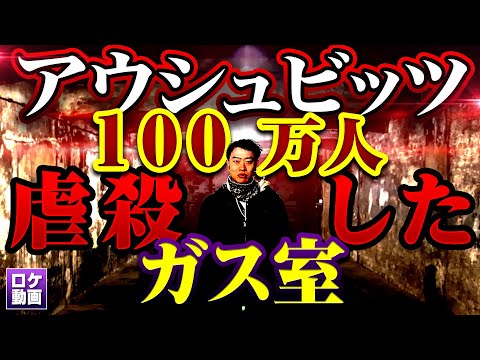 【アウシュビッツ強制収容所】現地からわかりやすく解説