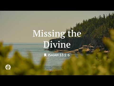 Missing the Divine | Audio Reading | Our Daily Bread Devotional | February 24, 2026