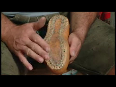 Bertl's Haferlschuhe bei Handwerker mit Leib & Seele