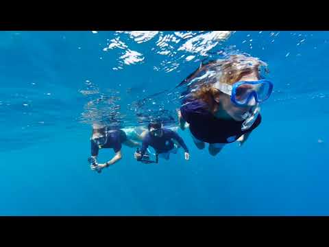 An Immersive Journey to Tetiaroa with Android XR & Google - Experience The Brando in 180°