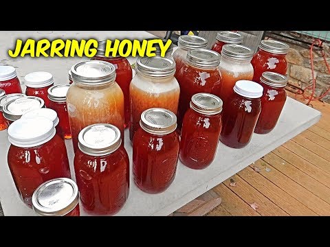 How Much Honey Did I Get? - Honey Harvest Part 3