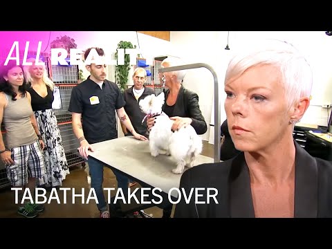 Doggie Day Care in Danger | Tabatha Takes Over | All Reality