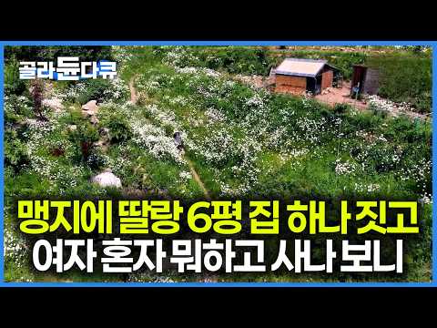 1400만 원으로 직접 지은 산속 6평 집에서 수십만 평 정원을 가꾸며 사는 여자｜한국기행｜#골라듄다큐