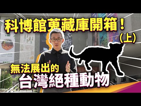 蒐藏高達169萬件！還包括無法展出的台灣已滅絕動物！？全台自然史蒐藏量最大的科博館，都蒐藏了哪些東西？化石是澎湖漁民撈上來的？標本是山產店來的？科博館蒐藏庫開箱（上集） ft. 國立自然科學博物館