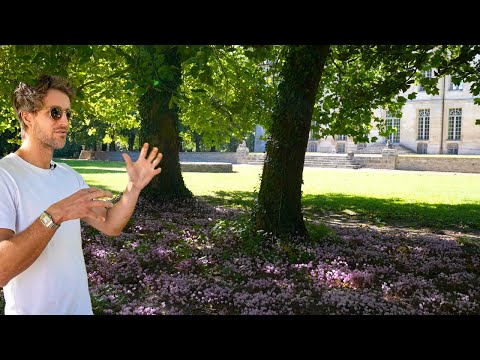 PART 2: Chateau's Gardens and Park: East Side + Hidden Fountains...