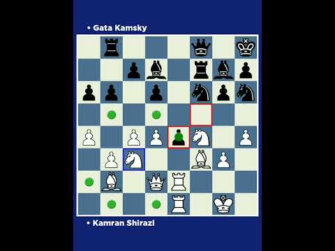Kamran Shirazi vs Gata Kamsky • It MCC New York (USA), 1989.