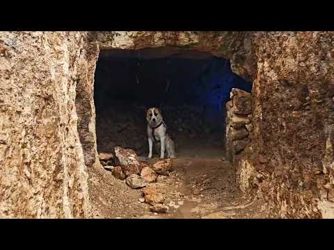 I Built an UNDERGROUND Shelter With PRIMITIVE TOOLS - Bushcraft Survival Camping, Diy, Nature Sounds