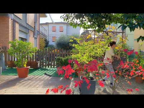 A typical and peaceful Sunday in an Italian family | homely warmth and traditional flavors