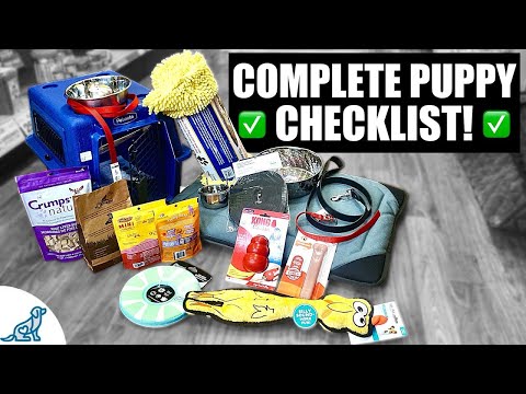 10 Things You'll Need For Your New Puppy