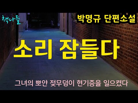 어깨를 들썩이며 작은형이 울고 있었다 | 소리 잠들다 | 박명규 | 단편소설