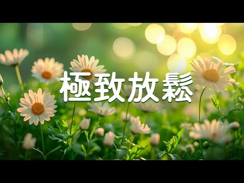 【極致放鬆 - 輕音樂 治癒】 清新的新綠色與舒緩的背景音樂（鳥兒啁啾，流水聲 ）恢復疲憊的身心, 放鬆, 非常適合學習或工作, 早上醒來或不眠之夜。（影片播放過程中無廣告）
