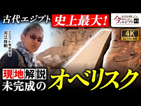 【デカすぎ】古代エジプト史上最大！未完成のオベリスクを現地解説（ピラミッド・ハトシェプスト・アスワン・花崗岩・歴史・遺跡・考古学）