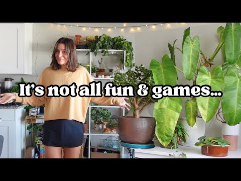 My Harsh Reality of Rare Plant Collecting Nobody Talks About