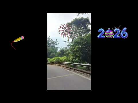 Follow me on my primeval forest travel experience