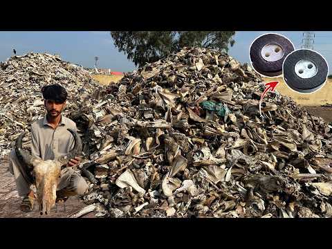 Unbelievable Recycling Process of Animal Bones to Make New Bone Buttons