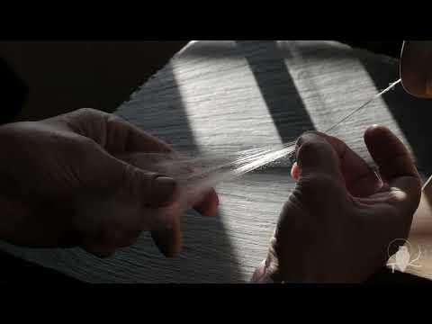 Spinning wool: Teeswater/Cheviot cross