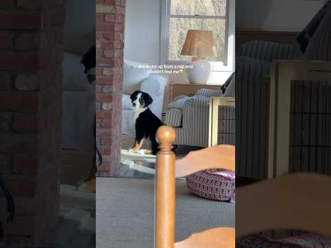 my heart 😭😭😭