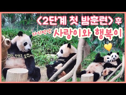 [ep.124] 첫 밤훈련 후!!! 다시 만난 아이바오와 푸바오의 뜨거운 포옹✨/ 2단계 첫 훈련의 모든것💕/ 딸을 향한 아이바오의 엄마마음🍼/ 에버랜드 판다월드