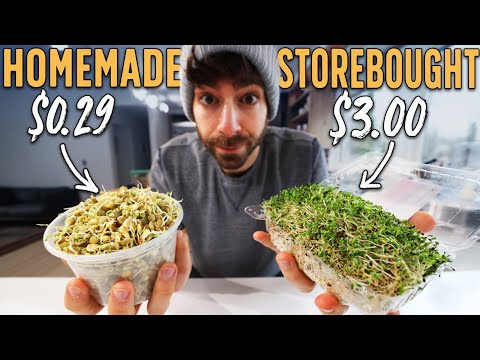 Make these 4 foods at home for MASSIVE savings 💰