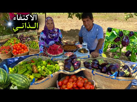 جني الخضر الطازجة من المزرعة و تحضير زعلوك الباذنجان