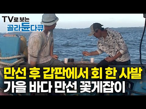 Fishermen earn what they sweat! 1,800 fish traps, sliced ​​into thin strips, cast into the ocean,...