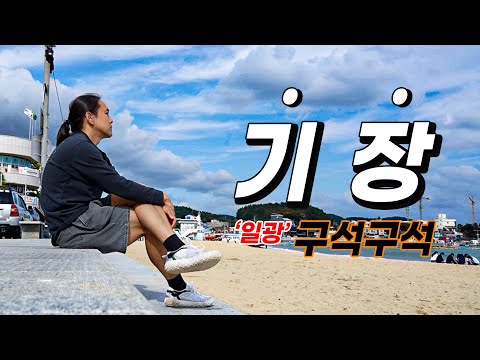 Busan Fishing Village Tour: Every Corner of Ilgwang (3 days)