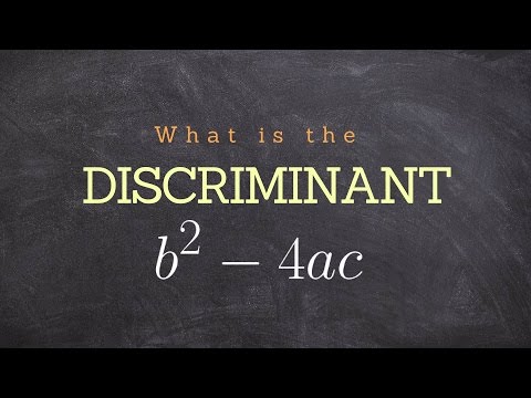 What is the discriminant and what does it mean