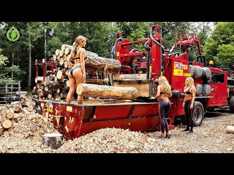 Fastest Biggest Firewood Processing Machine | Dangerous Big Chainsaw Cutting Tree machines #23