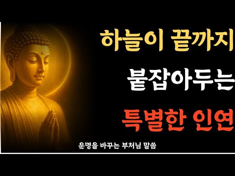 하늘이 끝까지 붙잡는 인연｜복을 가져오는 사람의 기운·하늘의 인연 분별 지혜