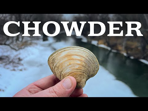 New England Clam Chowder: Food That Survived Time