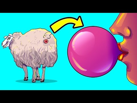 Du Wirst Das Nie Wieder Essen, Wenn Du Weißt, Wie Es Gemacht Wird