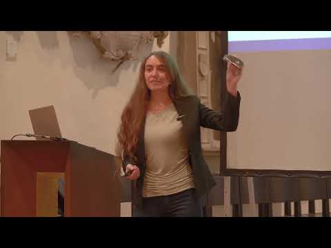 Die Euler-Charakteristik: Eine einzige Zahl beschreibt die Form unserer Welt