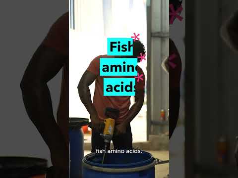 Fish for fertilizer