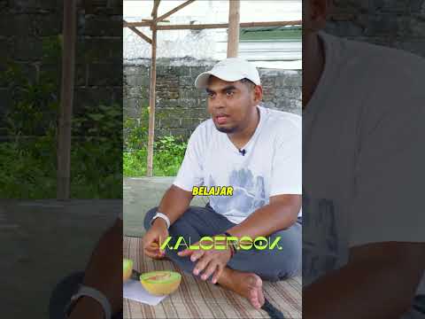 PETANI OTODIDAK, SUKSES CETAK MELON PREMIUM MODAL YOUTUBE | KALCERSOK