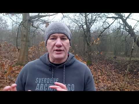 ЄС – це одебілювання влади плюс тотальна фемінізація всіх чоловіків